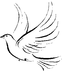 White dove