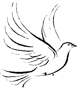 White Dove