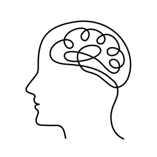 Head and brain
